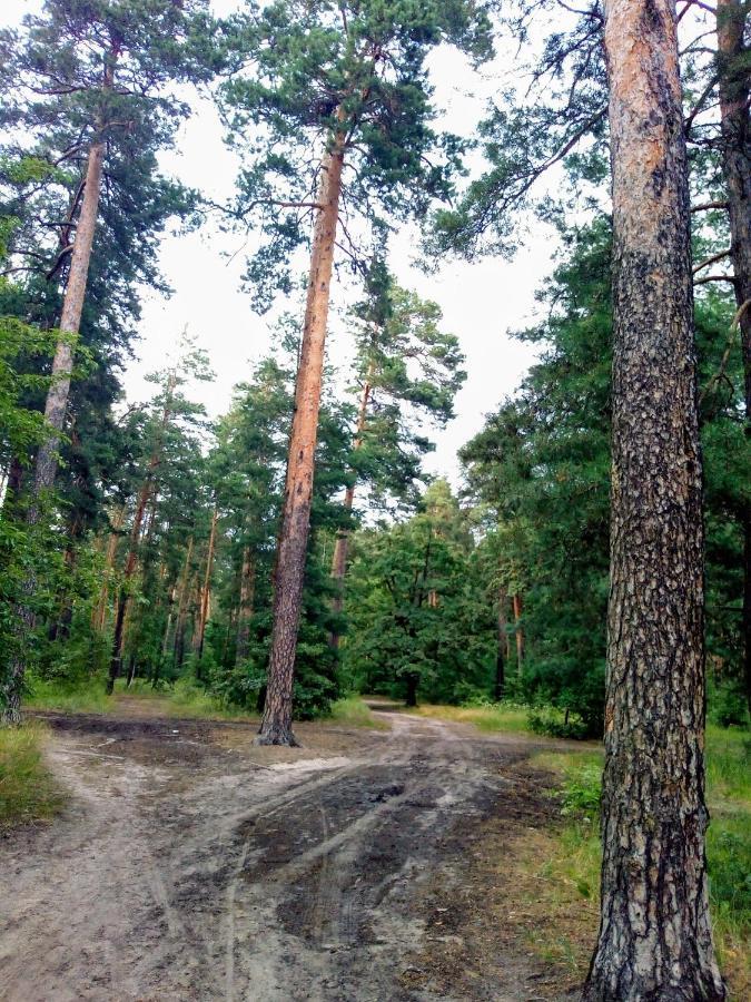 公寓 Forest